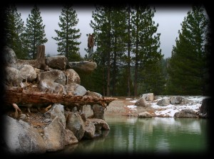 Tyler enjoys the view from the granite diving wall of the lake.  Natural granite boulders and wood elements create the perfect recreation opportunity.
